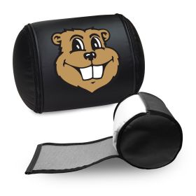 Minnesota Golden Gophers Alternate Logo Panel (Logo Panel Size: 30" Panel with Display Pillow)